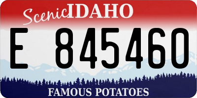 ID license plate E845460