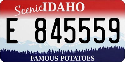 ID license plate E845559
