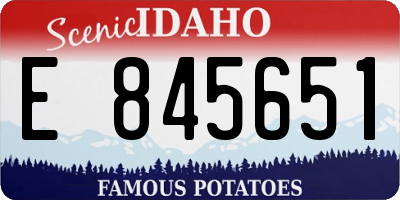 ID license plate E845651