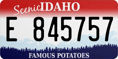 ID license plate E845757