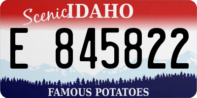 ID license plate E845822