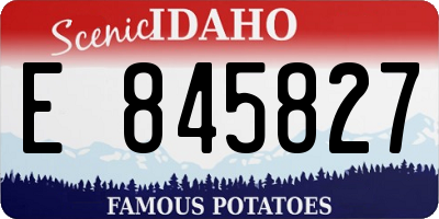 ID license plate E845827