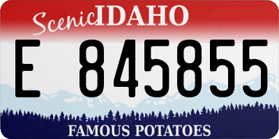 ID license plate E845855