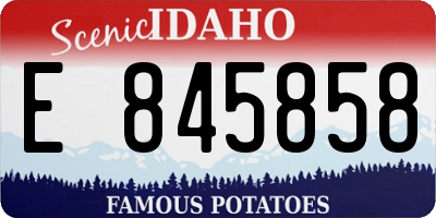 ID license plate E845858