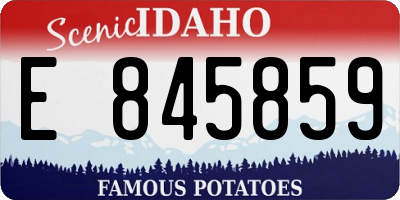 ID license plate E845859