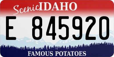 ID license plate E845920