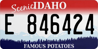 ID license plate E846424