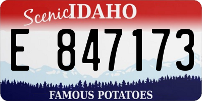 ID license plate E847173