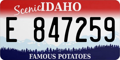 ID license plate E847259