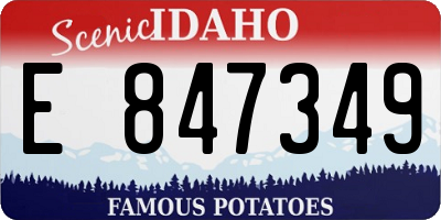 ID license plate E847349