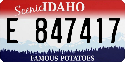 ID license plate E847417