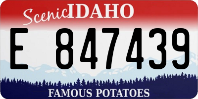 ID license plate E847439