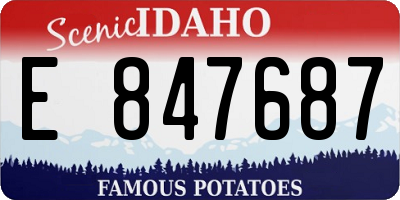 ID license plate E847687