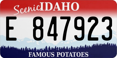 ID license plate E847923