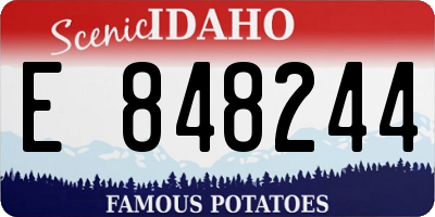ID license plate E848244