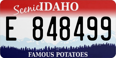 ID license plate E848499