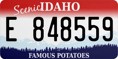 ID license plate E848559