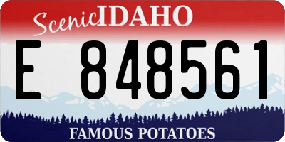 ID license plate E848561
