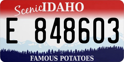 ID license plate E848603
