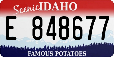 ID license plate E848677