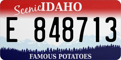 ID license plate E848713