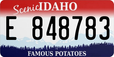 ID license plate E848783
