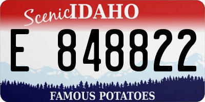 ID license plate E848822