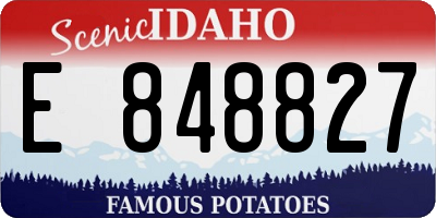 ID license plate E848827