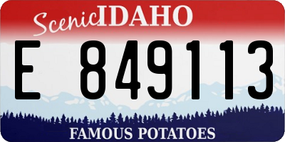 ID license plate E849113