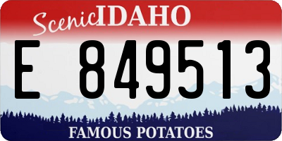 ID license plate E849513