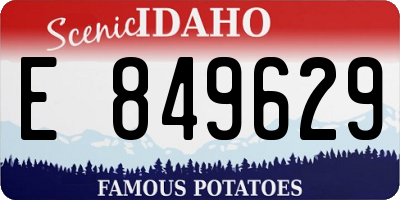ID license plate E849629