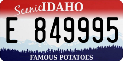 ID license plate E849995