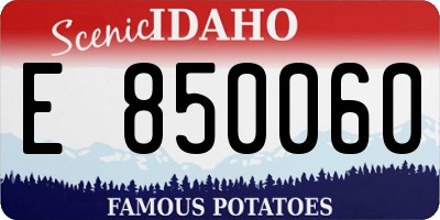 ID license plate E850060