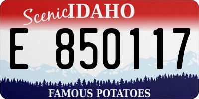ID license plate E850117