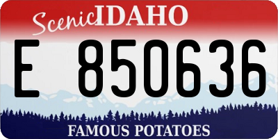 ID license plate E850636