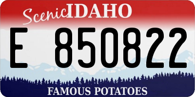 ID license plate E850822