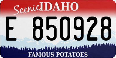 ID license plate E850928