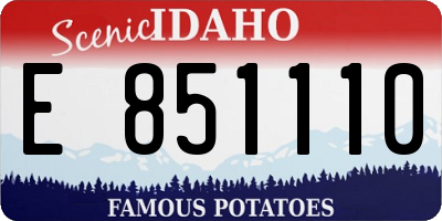 ID license plate E851110
