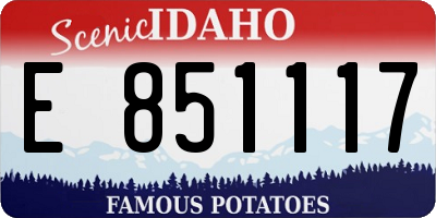 ID license plate E851117