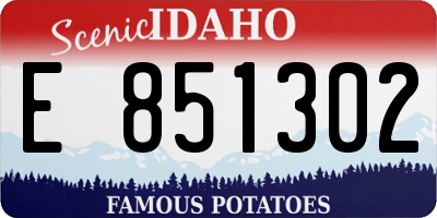 ID license plate E851302