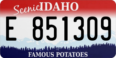 ID license plate E851309
