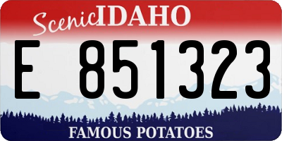 ID license plate E851323