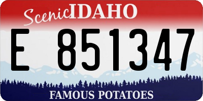 ID license plate E851347