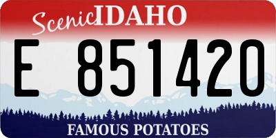 ID license plate E851420