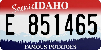 ID license plate E851465