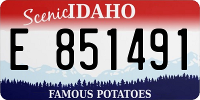 ID license plate E851491