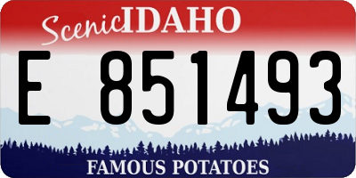 ID license plate E851493