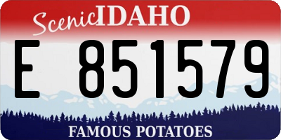 ID license plate E851579