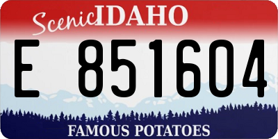 ID license plate E851604