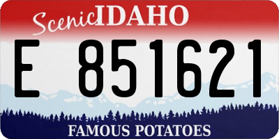 ID license plate E851621